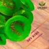 2021/04/1000201204.jpg Dry Kiwi Fruit Delicious Tasty & Rich in Vitamins & Nutrient Rich