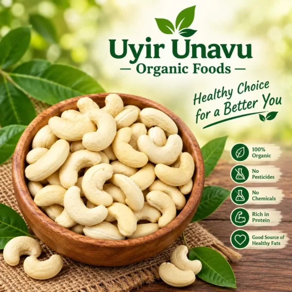 Cashew Nuts W320 | Premium Quality Whole Cashews | Uyir Unavu Organic Foods